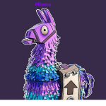 #llama