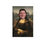 The MONA LiSA