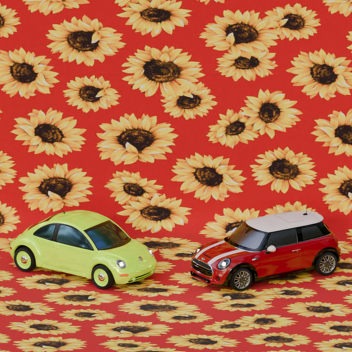 Fun Cars Test