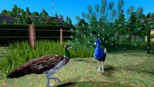 [Peafowl Düzeltmesi] Tarım Dünyası