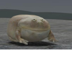 Frog Imperium