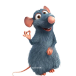 The stoopy poopy
