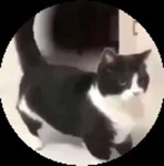 omg thanks so much wow i will use for better world