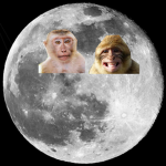 Moon Monkeys Studio
