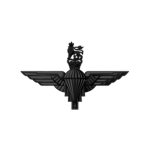 Nо. 6 (Guards) Platооn