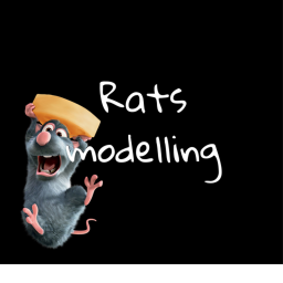 rats modelling