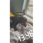 Xbox Cr!Ps(Da Hood)