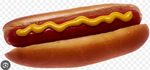 #2 dog