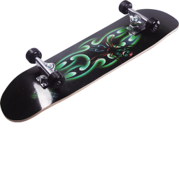 Skate champion