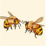 BuzzyBoyz