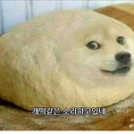 총독 반죽