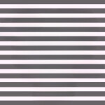 ‧˚꒰🐾꒱༘⋆