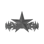 Bogi's Silver Star Crown