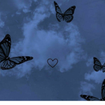 |-Butterflys-|