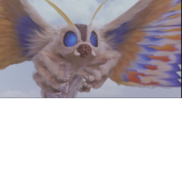 mothra's home