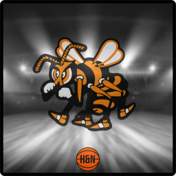 Booker T Hornets Gymnasium