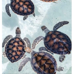 AESTHETIC TURTLE CLOTHING