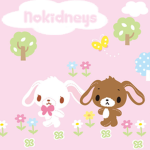 NoKidneys