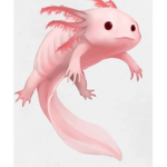 Axolotl group! :)