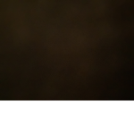 TFW009