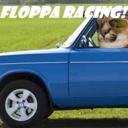 Floppa racing