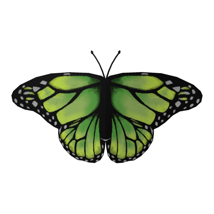 Green Butterfly Face