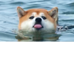 EpicGamerServerEpic