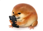 Kkblx