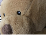 TeddyBear fam