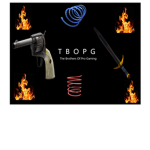The Brothers Of Pro Gaming