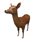 Deer Protective Service