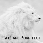 Cats are Purr-fect