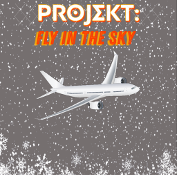 Projekt: Fly in the Sky