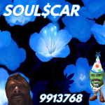 SOUL$CAR