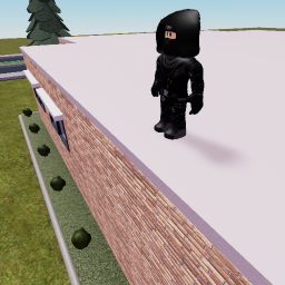 Secret  Assassin