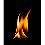 Ember Official