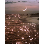 ~aesthetic sunshines~