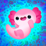 Pandy D-E-J-O-K-A