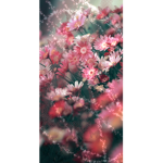 |~•Blossom Dreams•~|
