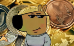 dqwandel