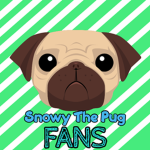 Snowy The Pug Fans