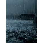 Rain.whatawonderfulthing