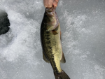 History and fishing