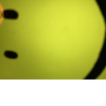 Knomebody