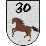 30th Cavalry Unit