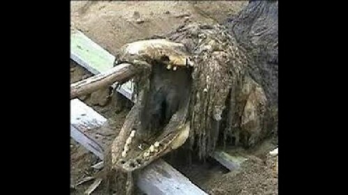 SCP-682 Demonstration