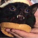 ROYAL BURGERS