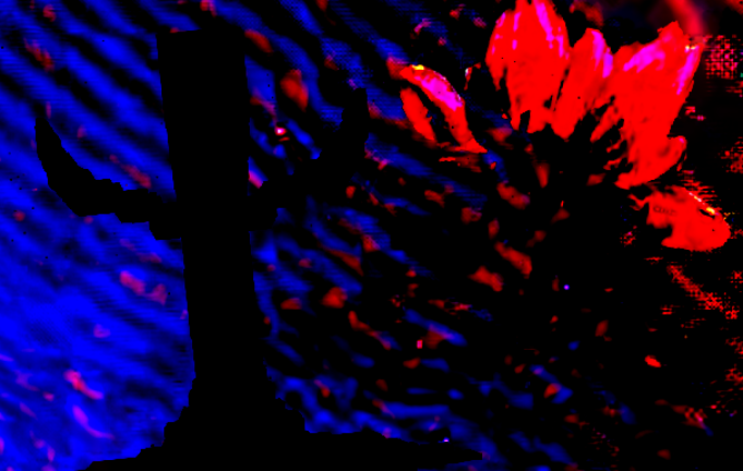 The Whistle Occurrence screenshot 1