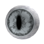 Snowball Vision Eye