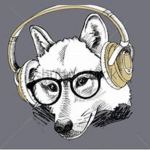 WolfGaming Fans!